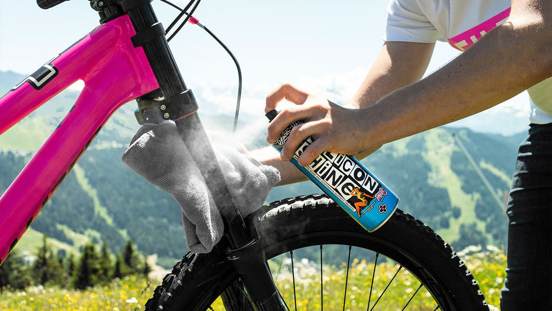 Reinigung und Pflege für Ihr Fahrrad - Garage/Velos-Motos Allemann