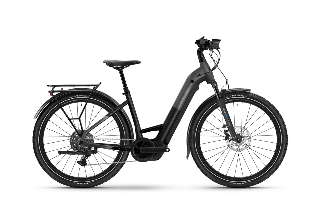 Haibike Trekking 6.5 Low stardust/titan glänzend