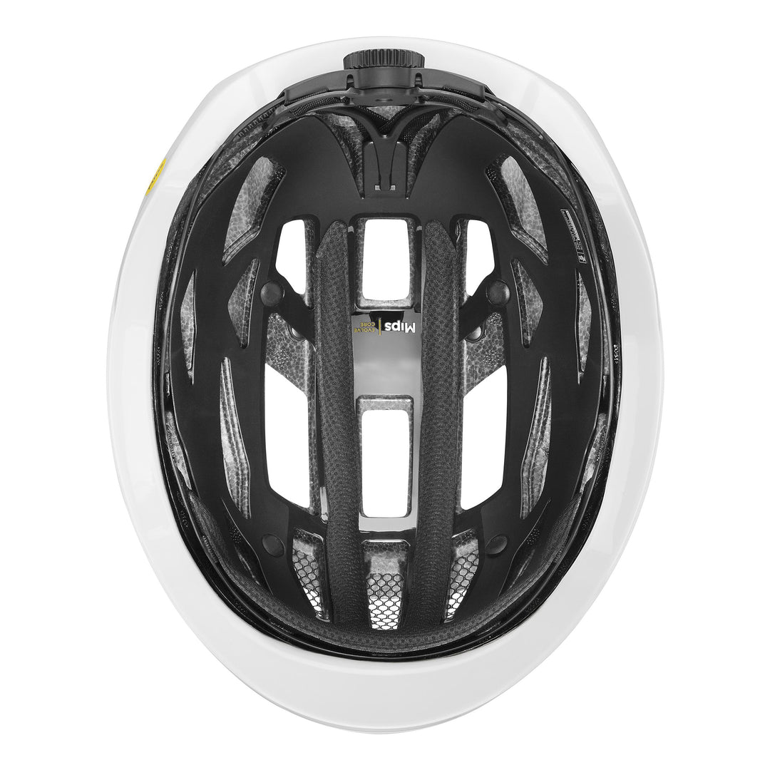 i-volute MIPS