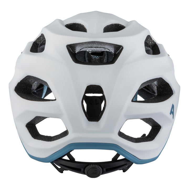 Alpina CARAPAX 2.0 white pebble blue matt