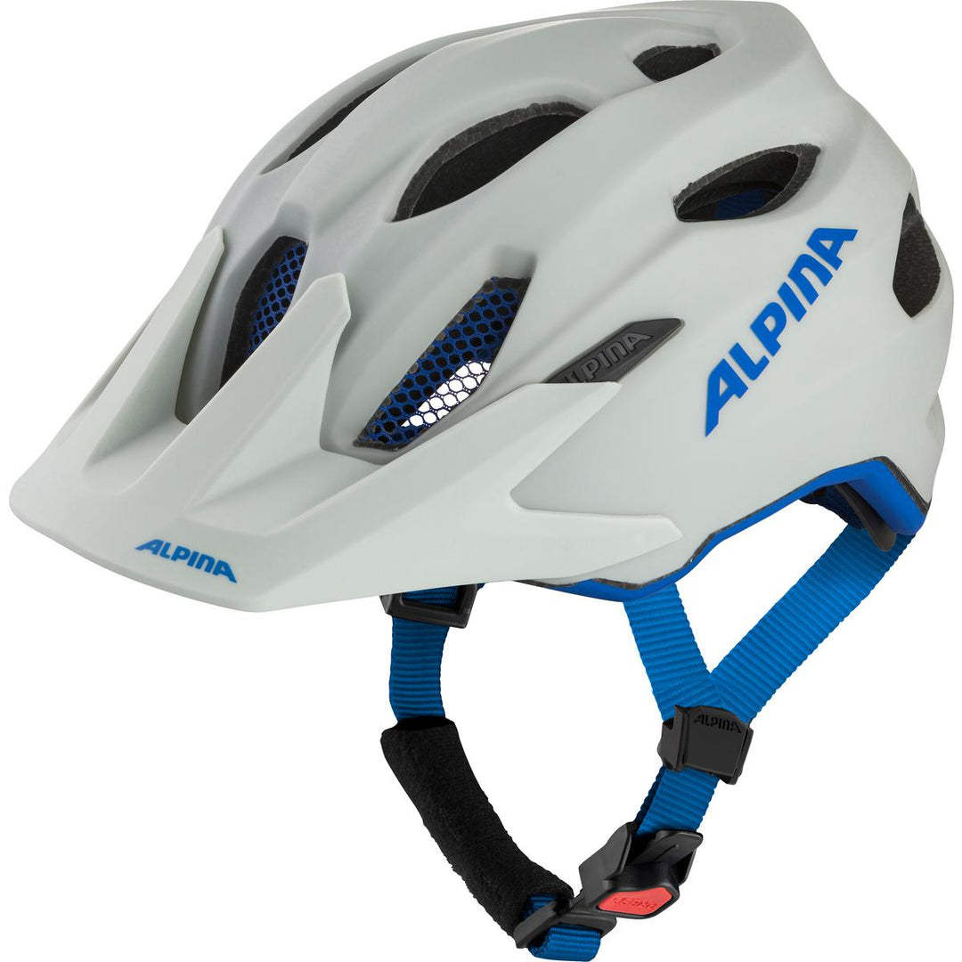 fliegennetz fahrradhelm nachrüsten Alpina Carapax JR. kaufen bei Garage/Velos-Motos Allemann