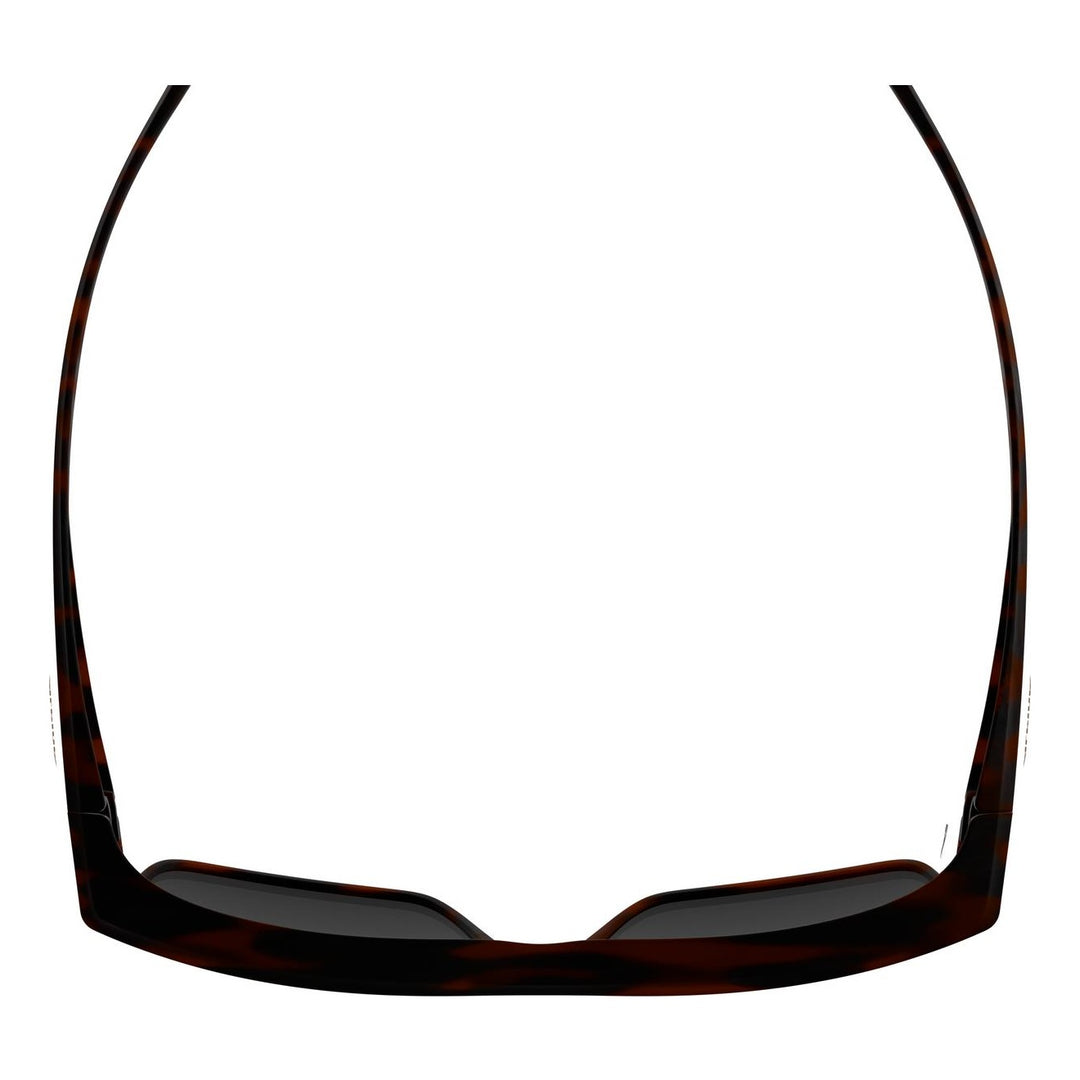 Alpina CONCEAL P havana matt/POLARISATION black
