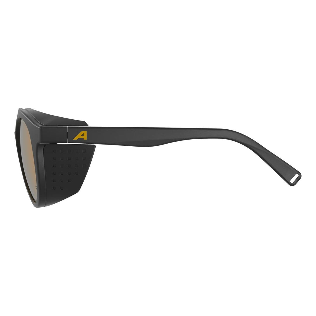 Alpina GLACE P black/gold