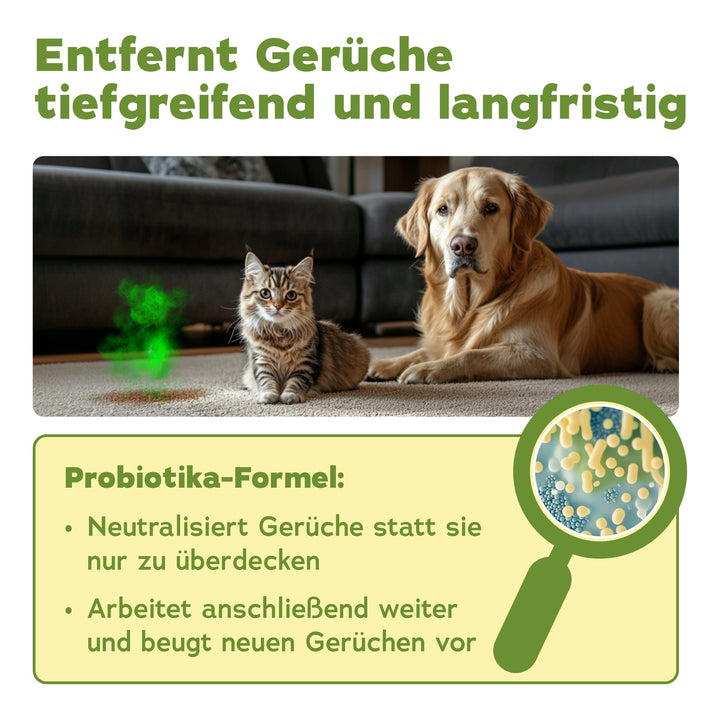 bio-chem Enzymreiniger Konzentrat 1000 ml ohne Sprühkopf 
