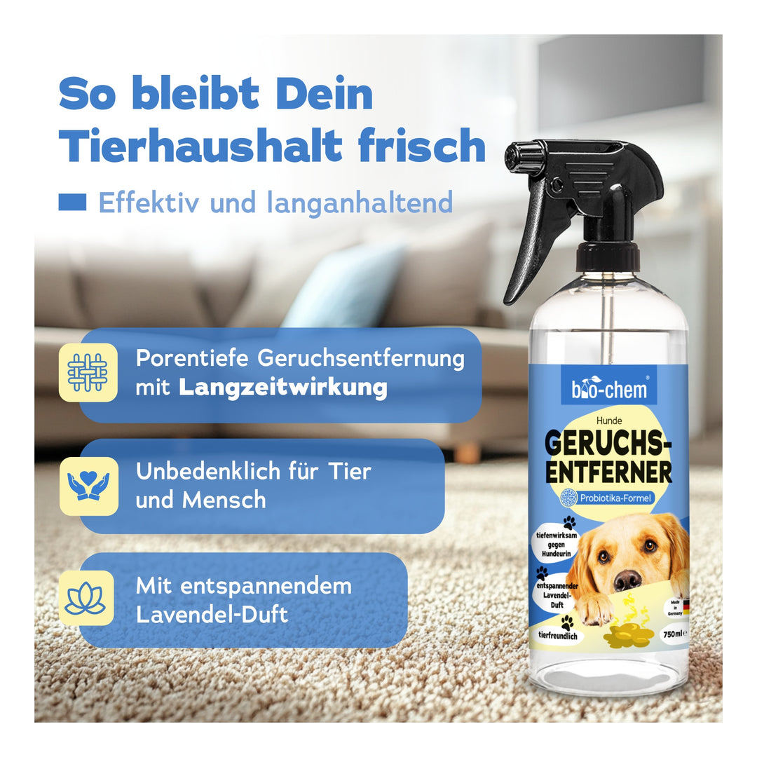bio-chem Geruchsentferner Hund rPet 750 ml mit Sprühkopf 
