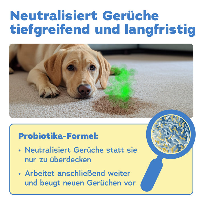 bio-chem Geruchsentferner Hund rPet 750 ml mit Sprühkopf 