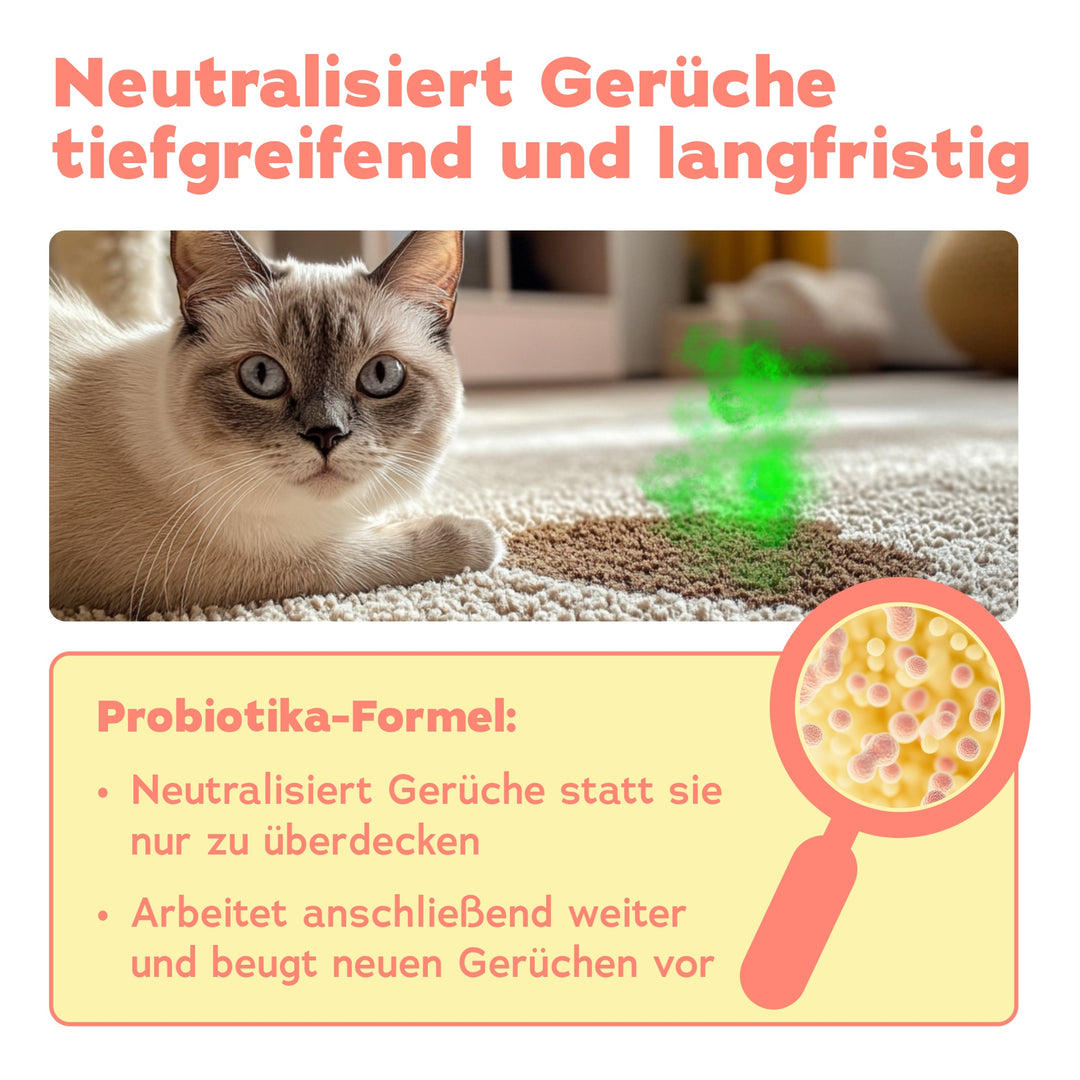 bio-chem Geruchsentferner Katze rPet 750 ml mit Sprühkopf 