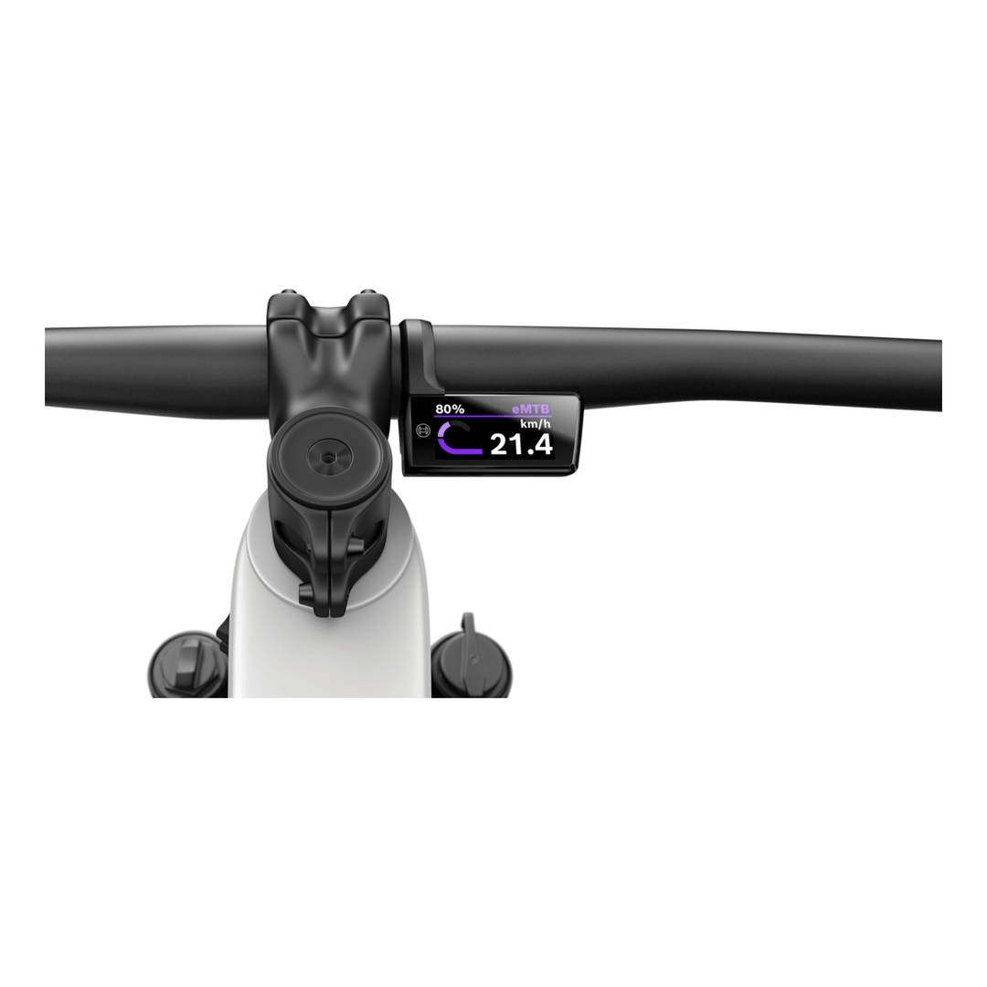 Bosch Nachrüst - Kit Purion 400 BHU3500 31.8mm - Display - Garage/Velos - Motos Allemann