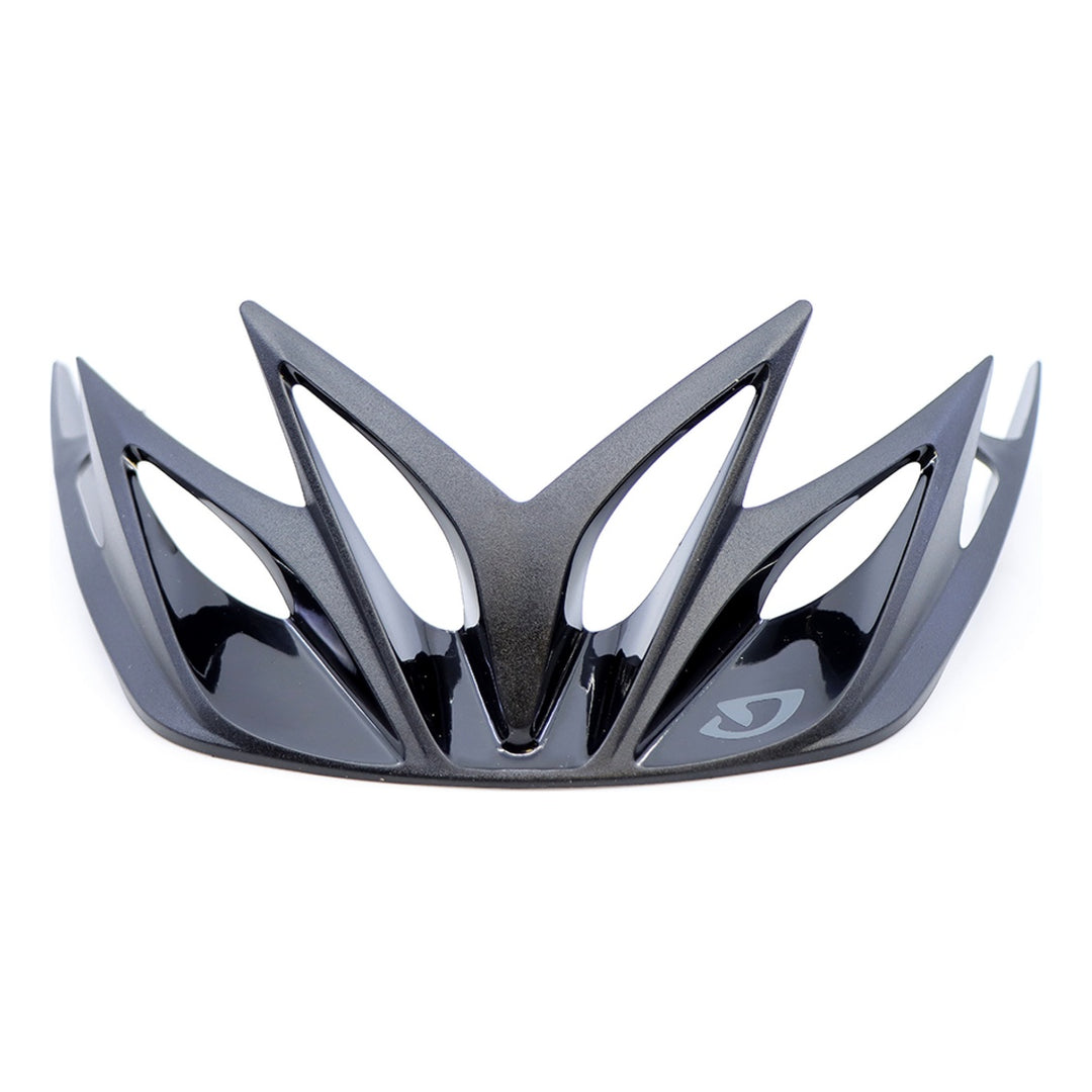Giro Artex Visor black