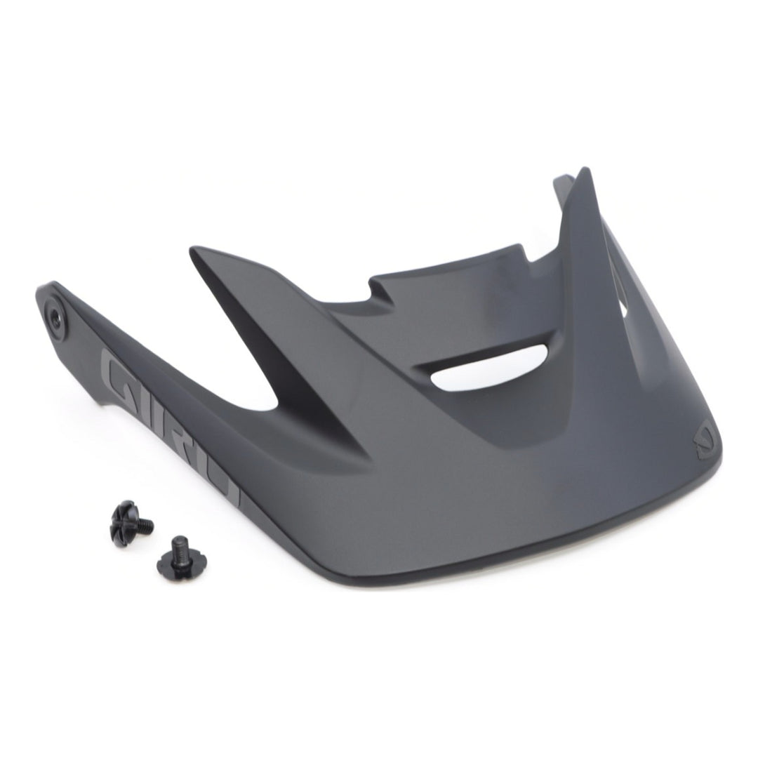 Giro Chronicle Visor matte black