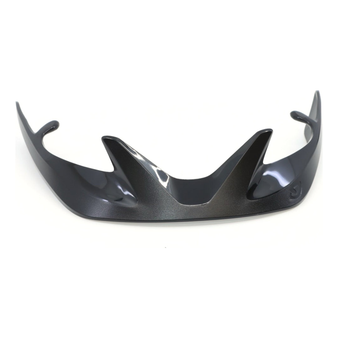 Giro Register Visor black/silver