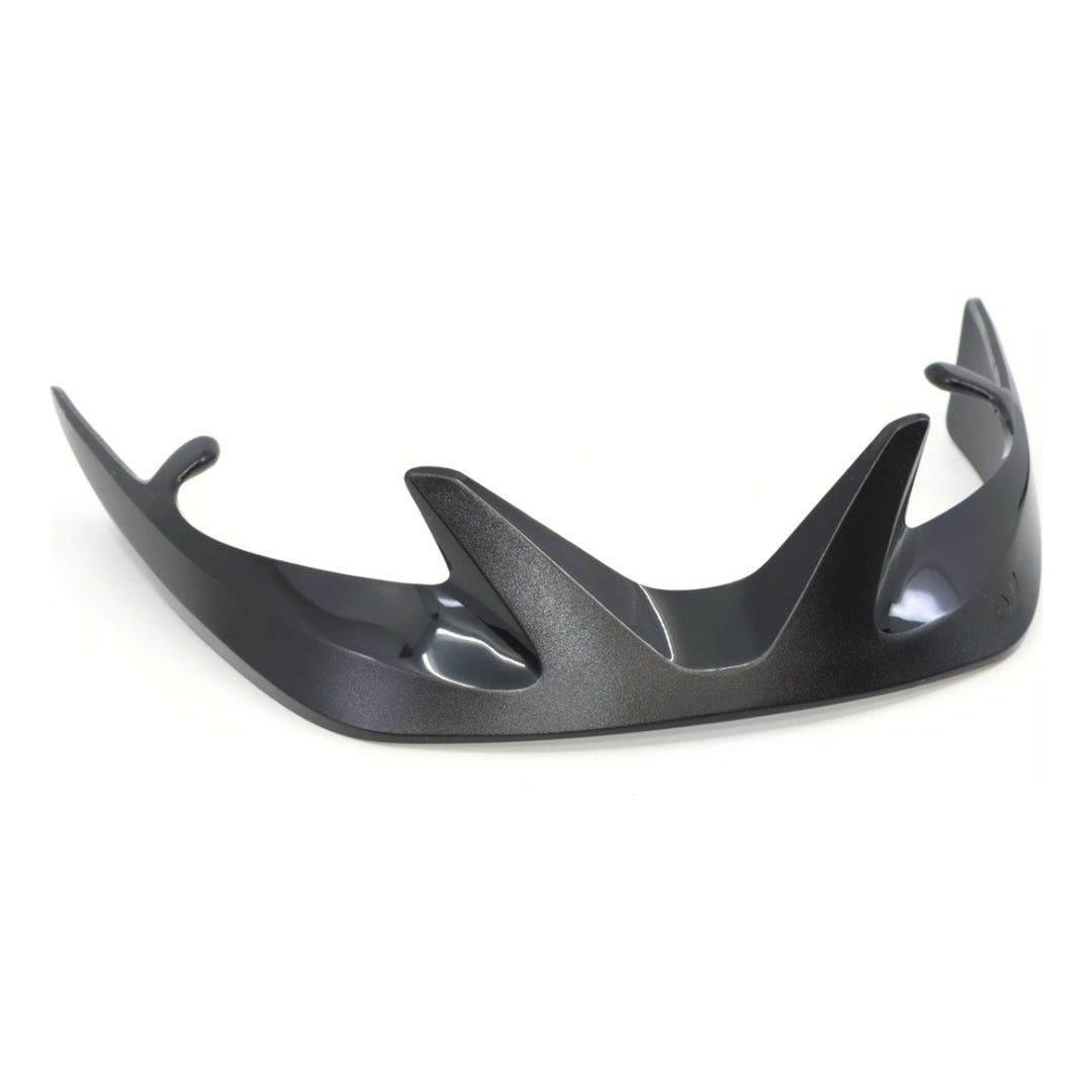 Giro Register XL Bronte Visor black/silver