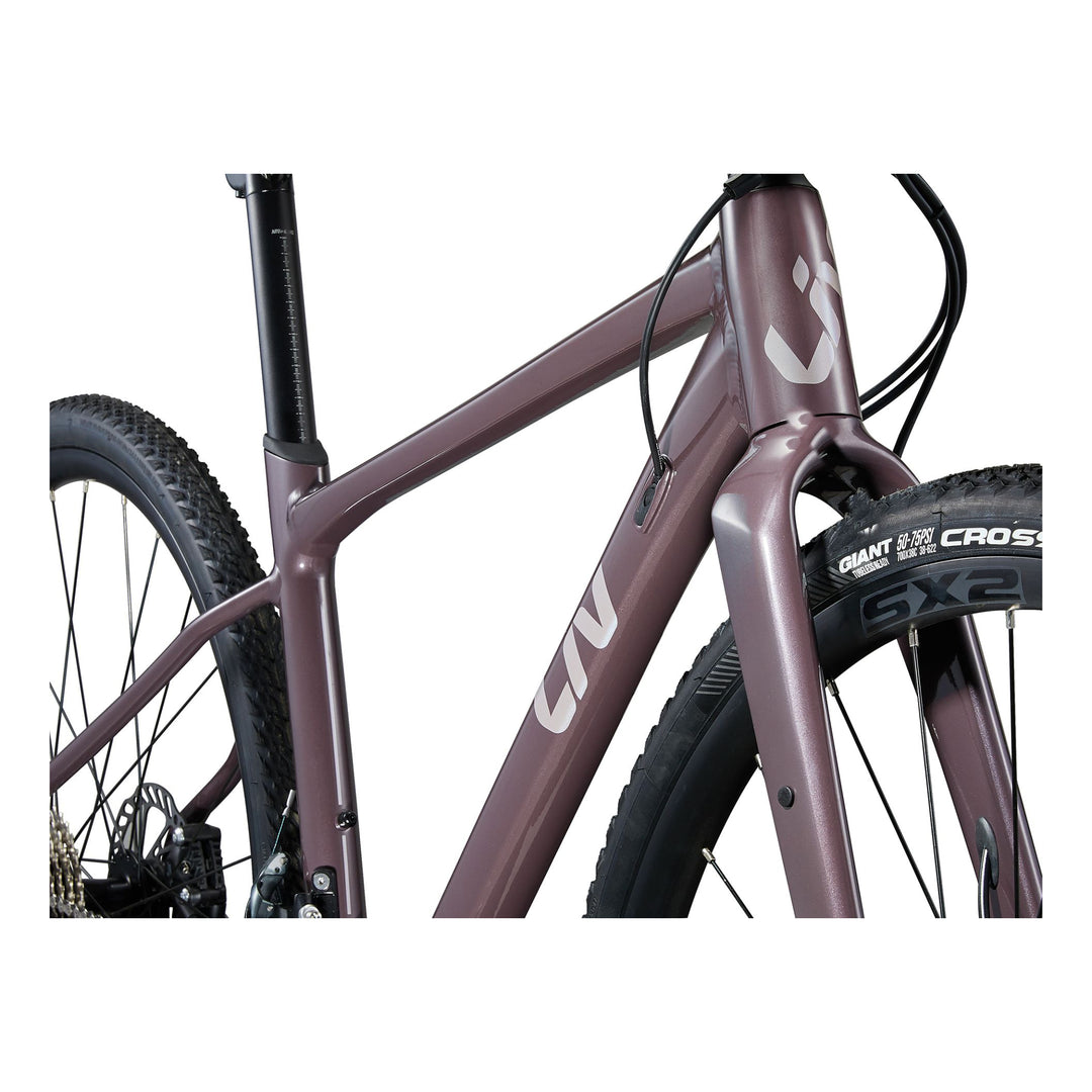 Devot 1 2025