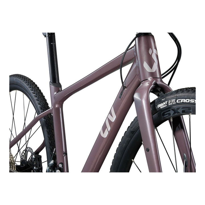 Devot 1 2025
