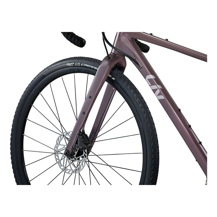 Devot 1 2025