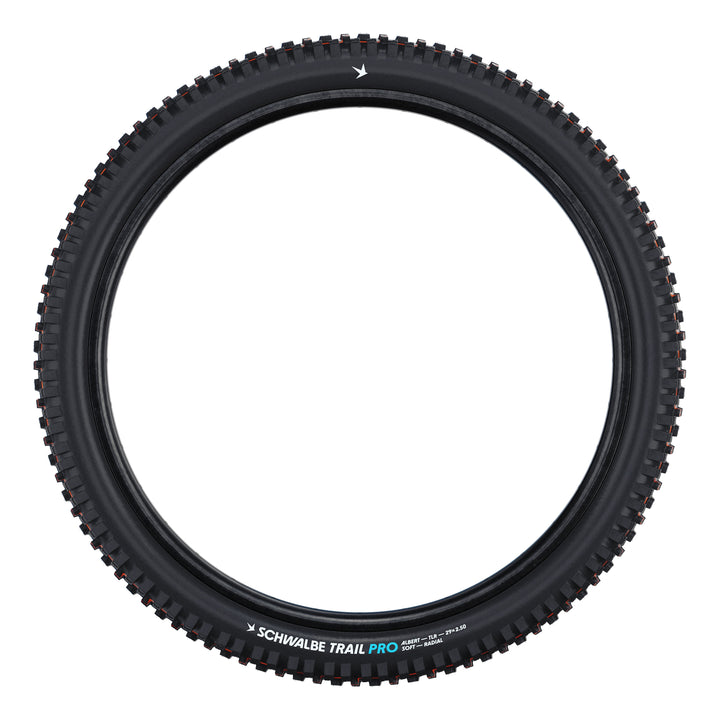 Schwalbe Pneu Albert 27.5x2.50 Gravity Pro Soft TL-Ready black Radial black