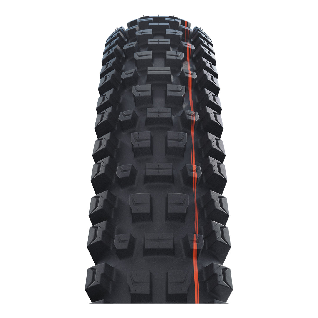 Schwalbe Pneu Albert 29x2.50 Gravity Pro Addix Soft TL-Ready black Radial black