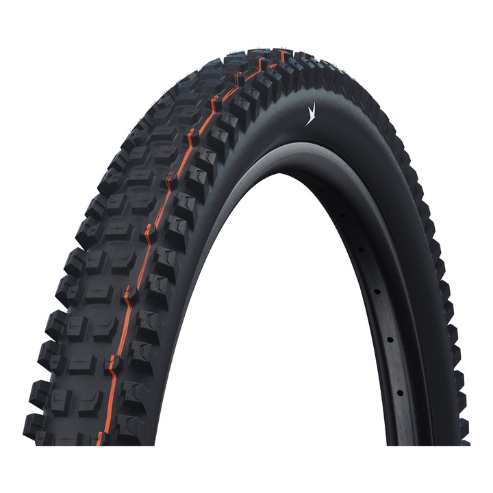 Schwalbe Pneu Albert 29x2.50 Gravity Pro Addix Soft TL-Ready black Radial black