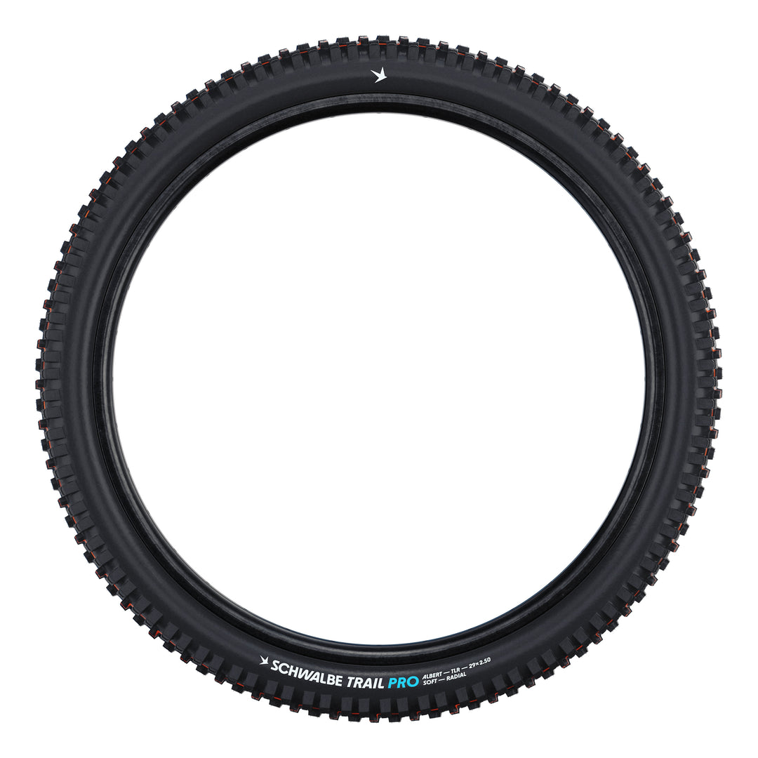 Schwalbe Pneu Albert 29x2.50 Gravity Pro Soft TL-Ready black Radial black