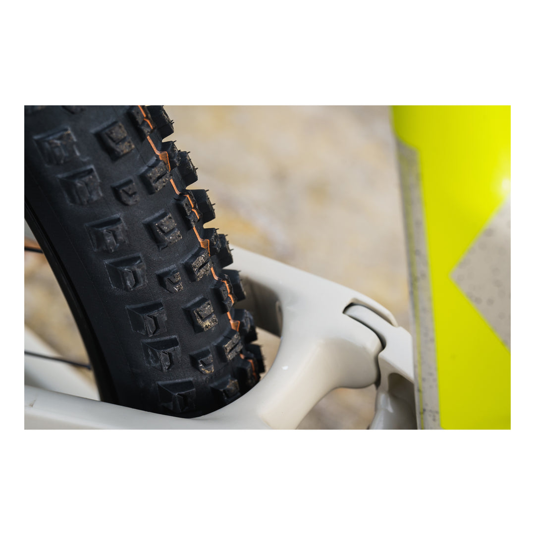 Schwalbe Pneu Albert 29x2.50 Gravity Pro Soft TL-Ready black Radial black