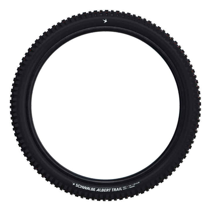 Schwalbe Pneu Albert 29x2.50 Trail Pro Addix UltraSoft TL-Ready black Radial black