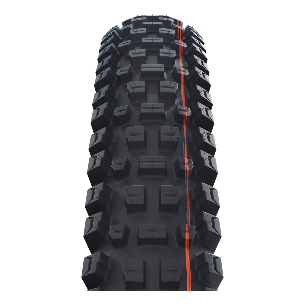 Schwalbe Pneu Albert 29x2.60 Gravity Pro Addix Soft TL-Ready black Radial black