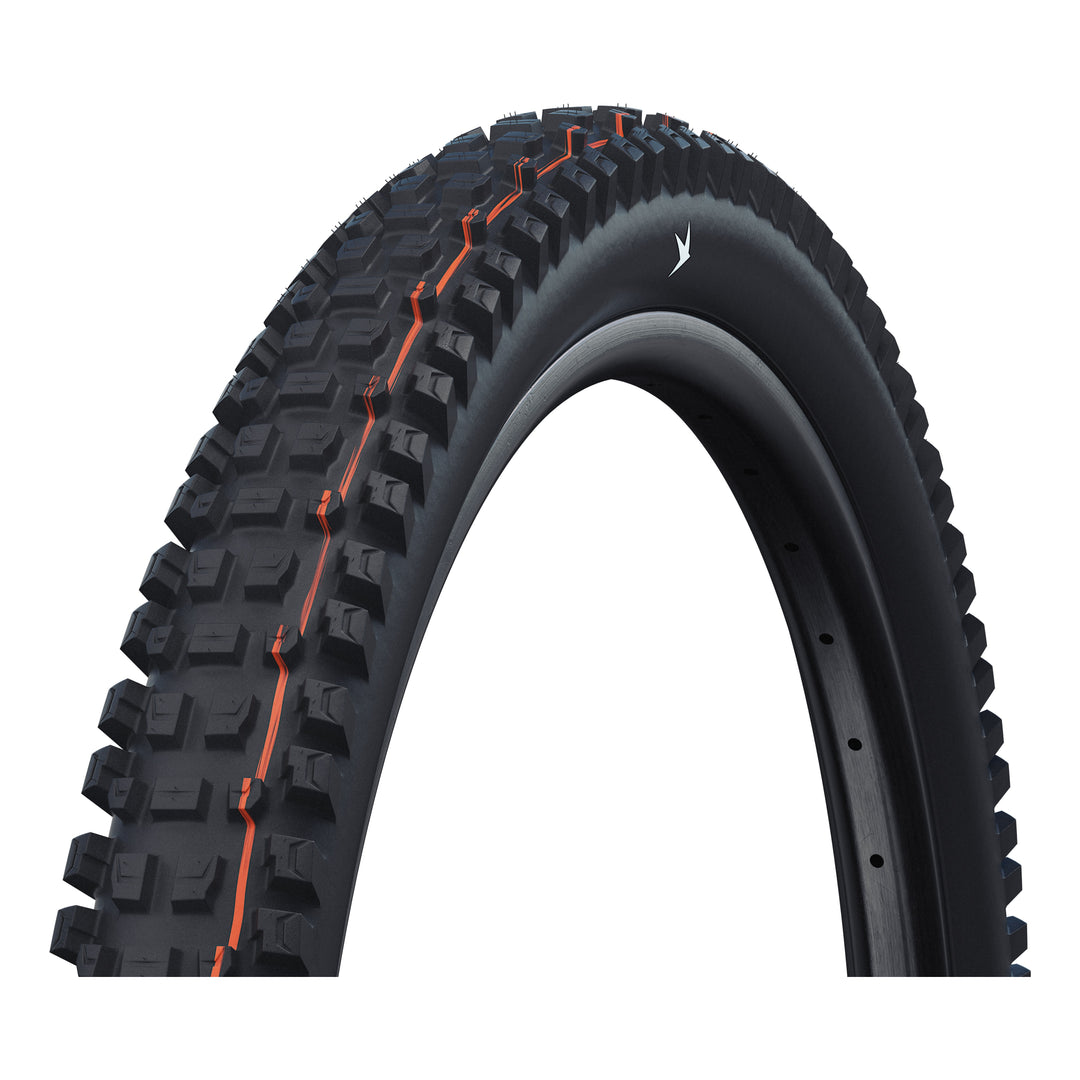 Schwalbe Pneu Albert 29x2.60 Gravity Pro Addix Soft TL-Ready black Radial black