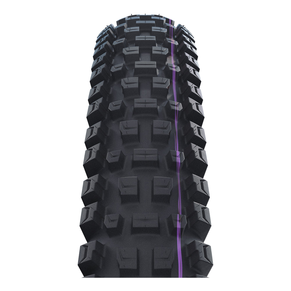 Schwalbe Pneu Albert 29x2.60 Gravity Pro Addix UltraSoft TL-Ready black Radial black