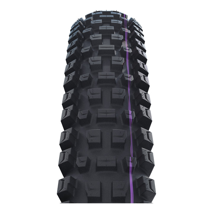 Schwalbe Pneu Albert 29x2.60 Gravity Pro Addix UltraSoft TL-Ready black Radial black