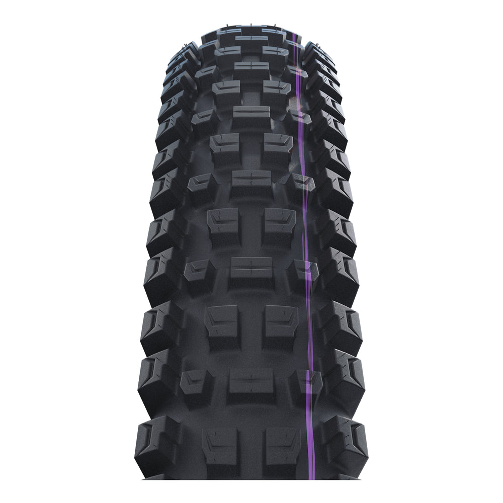 Schwalbe Pneu Albert 29x2.60 Gravity Pro UltraSoft TL-Ready black Radial black