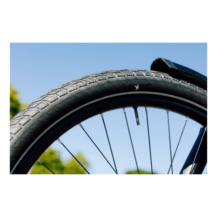 Schwalbe Pneu Motion Big Apple 20x2.15 Addix Green starr mit Reflexstreifen black