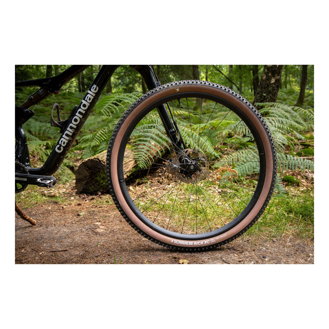Schwalbe Pneu Rick XC 29x2.25 SuperRace Pro Addix Speed TL-Ready para black-transparent