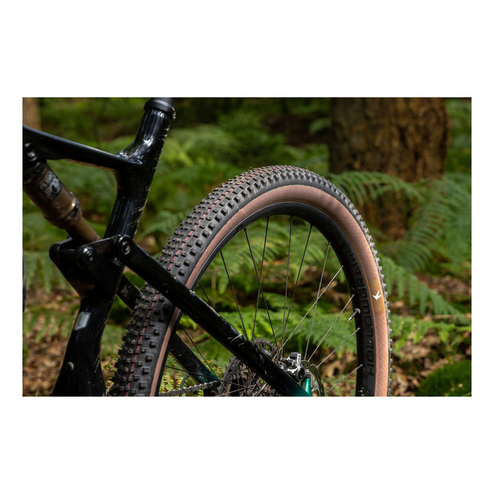 Schwalbe Pneu Rick XC 29x2.40 SuperRace Pro Addix Speed TL-Ready para black-transparent