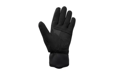 Women Infinium Insulated Gloves