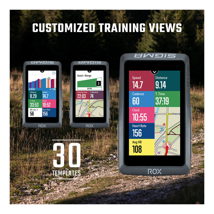 SIGMA SPORT Sigma Computer ROX 12.1 Evo GPS Basic grau night