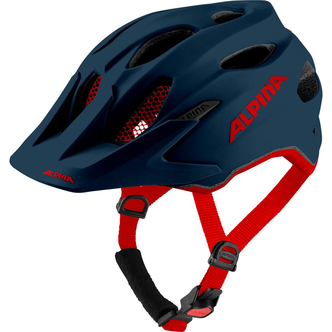 fliegennetz fahrradhelm nachrüsten Alpina Carapax JR. kaufen bei Garage/Velos-Motos Allemann